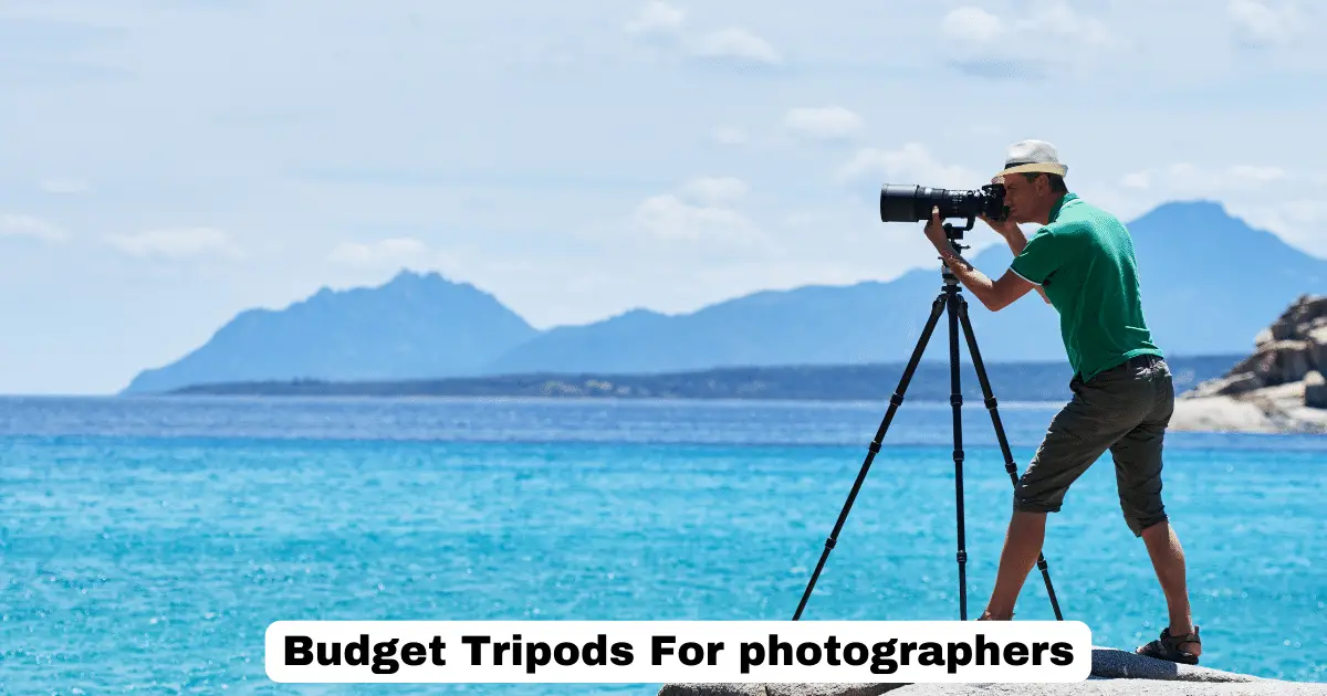 Budget Tripods For photographers