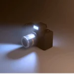 Wireless Camera Flashes