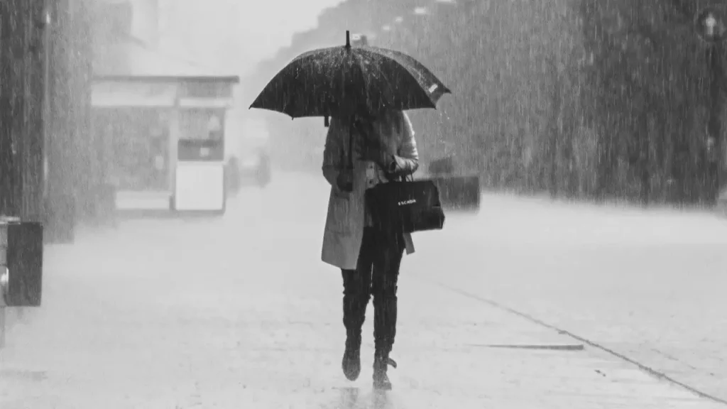 Proper Guide to Black and White Photography