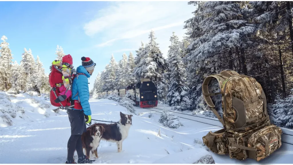 Best Saddle Hunting Backpack