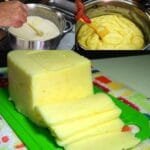 Mozzarella at Home: A Simple and Delicious Recip...