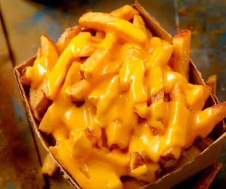 air fryer cheese fries