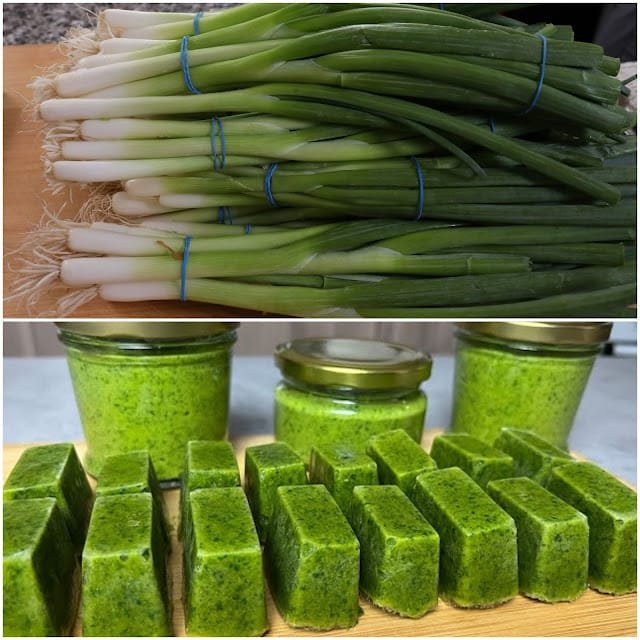 The Revolutionary New Way to Store Winter Onions