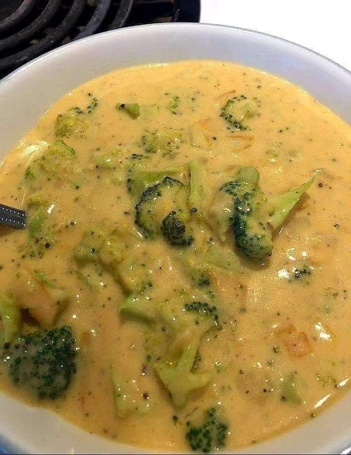 Broccoli and cheddar soup