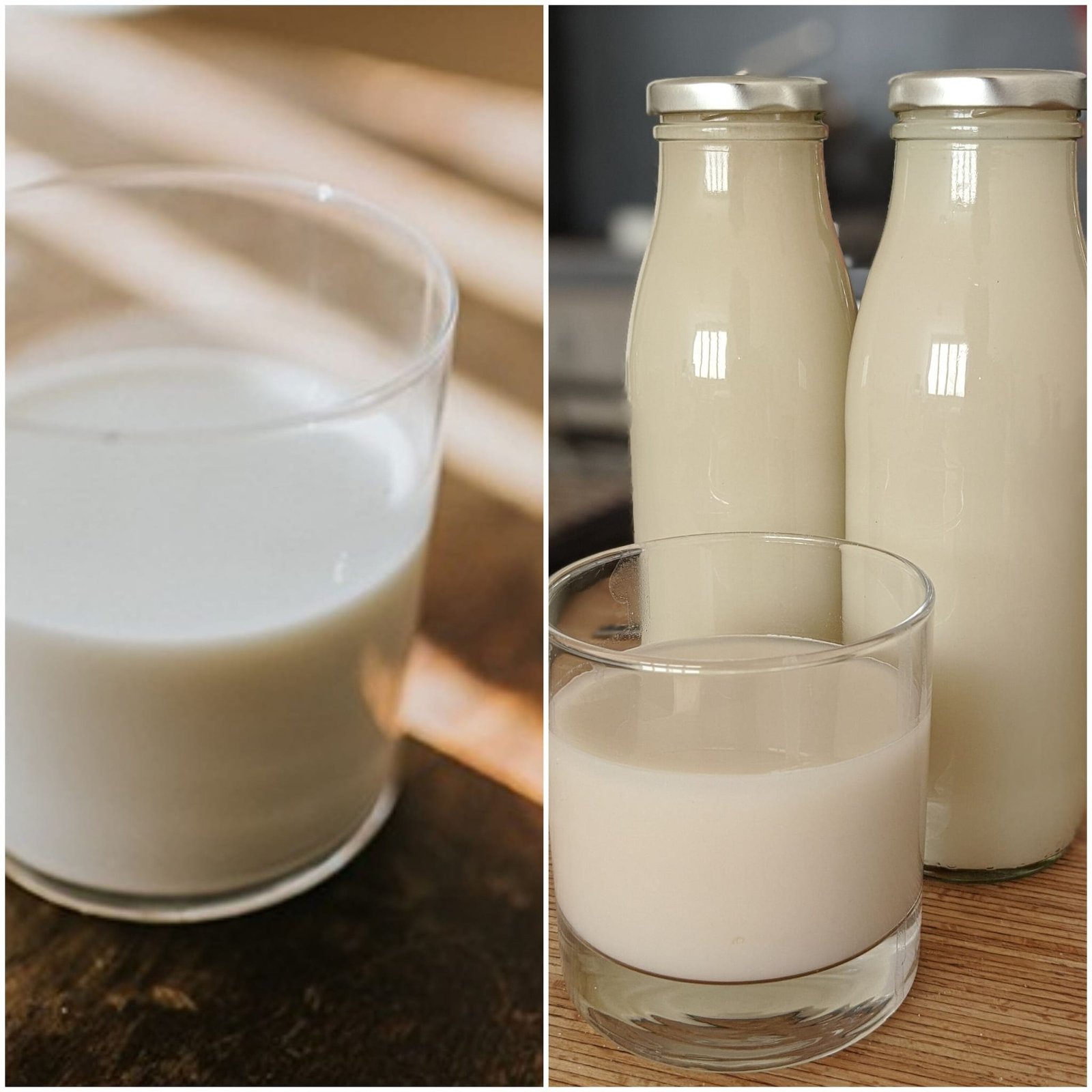 A Sip Between Myths and Truths ‎‎