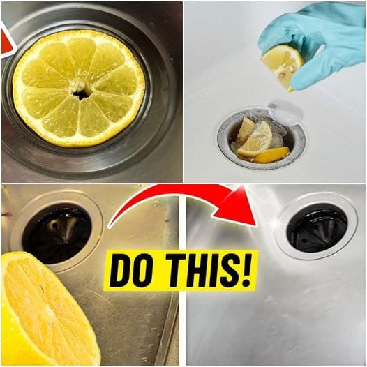 Discover the Refreshing Clean