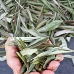 Discovering the Wonders of Dried Olive Leaves