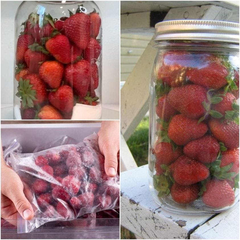 BLTA Chicken Salad Lettuce Wraps Recipe